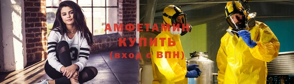 гидра Михайловск