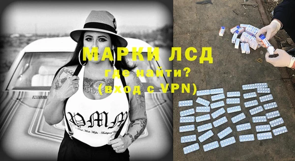 гидра Михайловск
