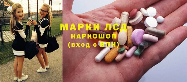 apvp Санкт-Петербург